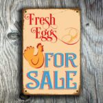 Fresh Eggs For Sale Sign 4