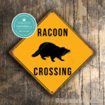 Racoon Crossing Sign