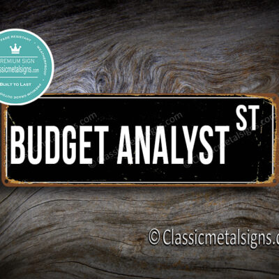 Budget Analyst Street Sign Gift
