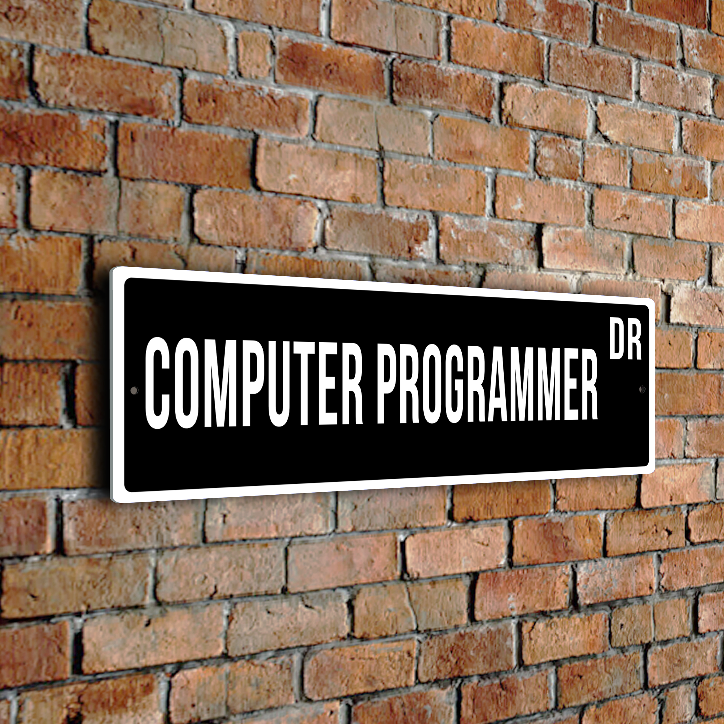 Computer Programmer street sign