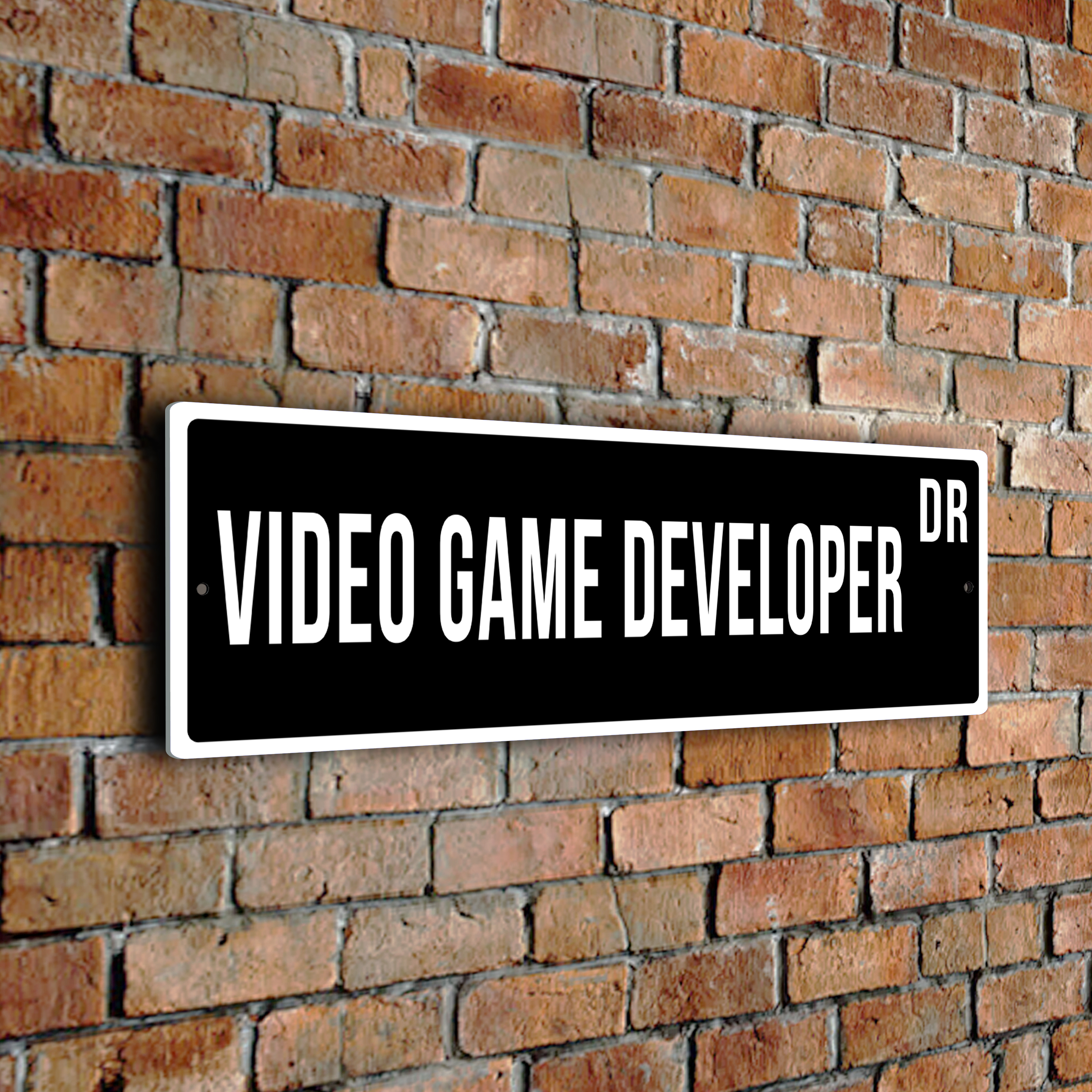 Video Game Developer street sign