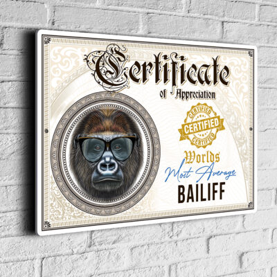Fun Bailiff Certificate