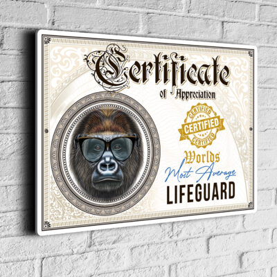 Fun Lifeguard Certificate