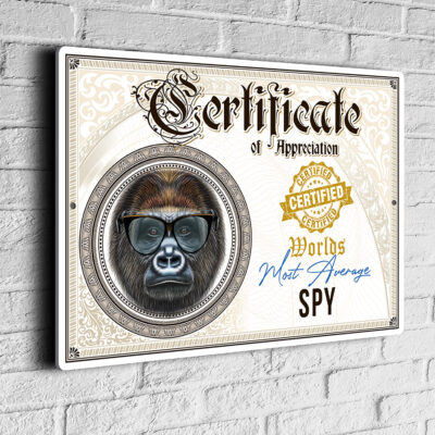 Fun Spy Certificate