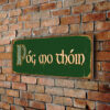 Póg mo thóin Irish Sign