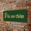 Póg mo thóin Sign