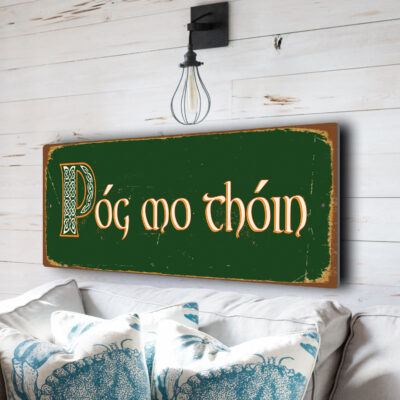 Póg mo thóin Irish Sign